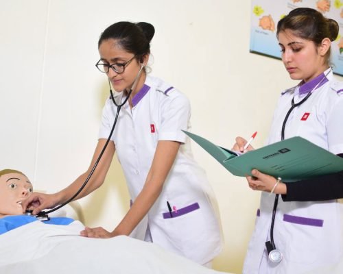Pursuing-BSc-Nursing-Course